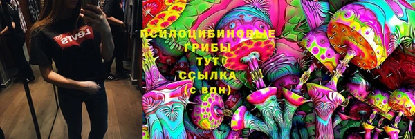 молекула духа Абинск