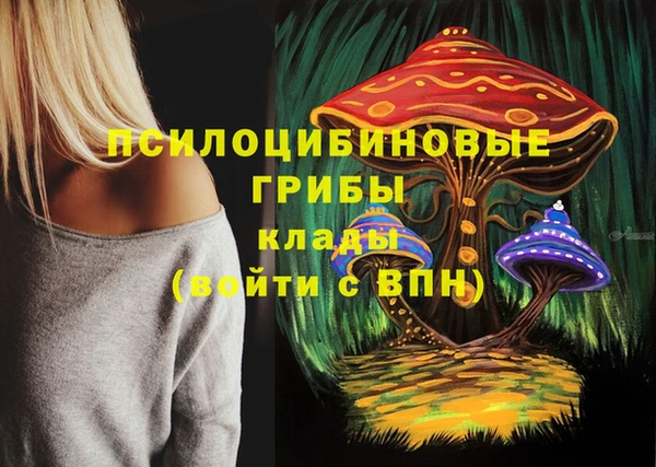 молекула духа Абинск